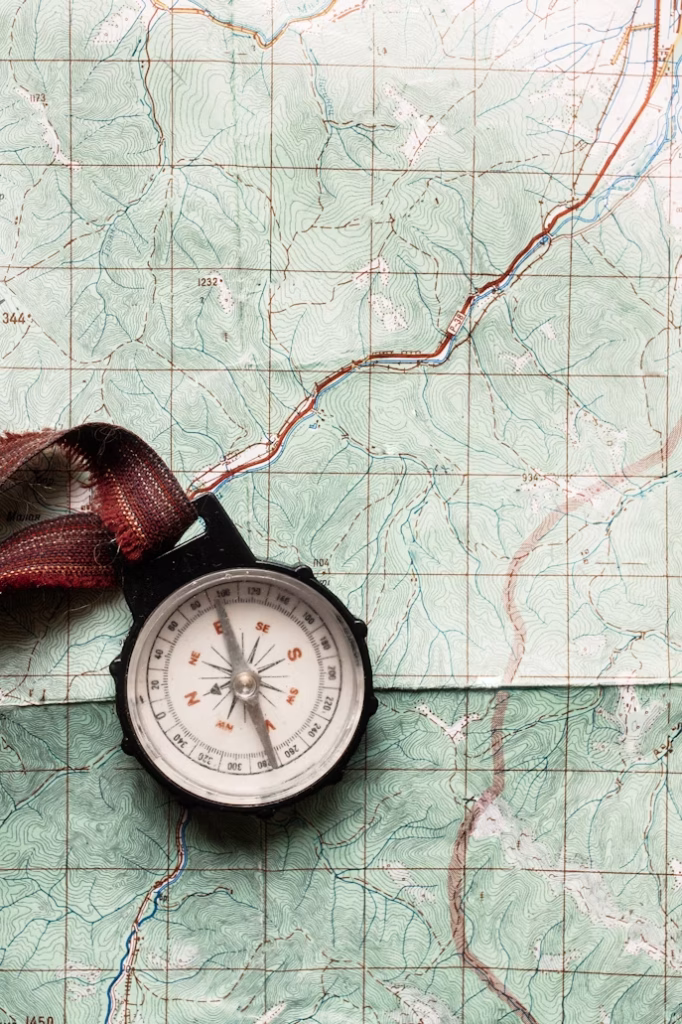 premium_photo-1661311950994-d263ea9681a1